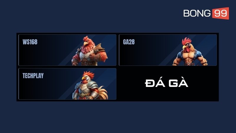 Trải nghiệm kịch tính tại sảnh Đá Gà