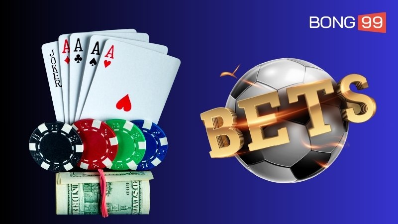 Có nhiều lý do mà người chơi nên chọn đây làm điểm cá cược